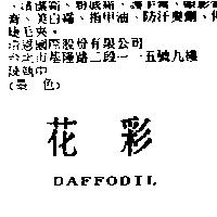 花彩 DAFFODIL