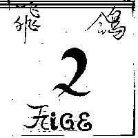 飛鴿及圖 FEIGE
