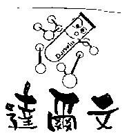 達爾文 Darwin 及圖