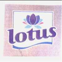 LOTUS 圖案