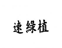 速綠植
