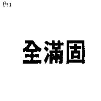 全滿固