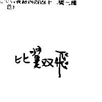 比翼双飛