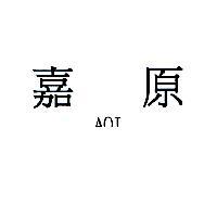 嘉原 AOI