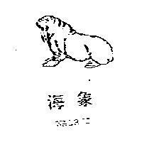 海象及圖 WALRUS