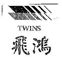 飛鴻及圖 TWINS