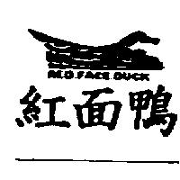 紅面鴨及圖 RED.FACE.DUCK