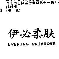 伊必柔肤 EVENING PRIMROSE