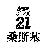 桑斯基 AISYN PRO 21