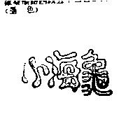 小海龜
