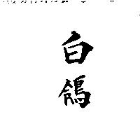 白鴿