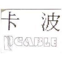 卡波 P CABLE