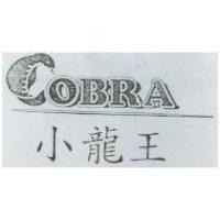 小龍王 COBRA 及圖