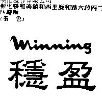 穩盈 WINNING
