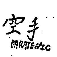 空手 KARATENIC 