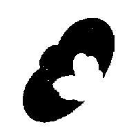 蝙蝠圖