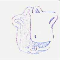 牛頭設計圖