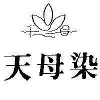 天母染及圖