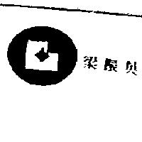梁振英及圖