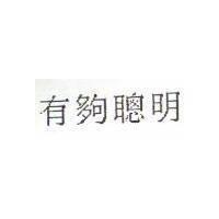 有夠聰明