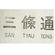 三條通 SAN TYAU TONG