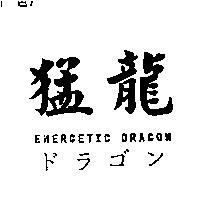 猛龍 ENERGETIC DRAGON ドラゴン