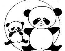 貓熊圖