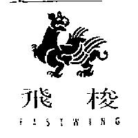 飛梭 FASTWING 及圖