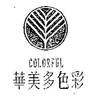 華美多色彩及圖 COLORFUL