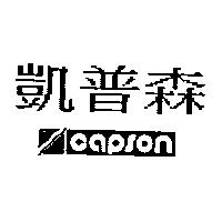 凱普森 CAPSON 及圖