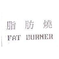 脂肪燒 FAT BURNER