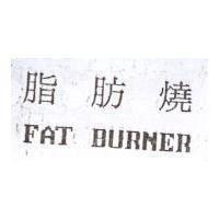 脂肪燒 FAT BURNER