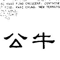 公牛