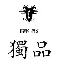 獨品及圖 DWN PIN