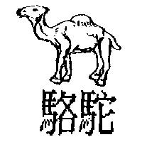 駱駝及圖