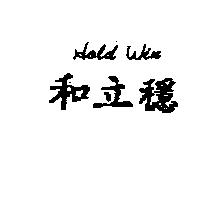 和立穩 Hold Win