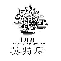 英特康及圖 DFB DAMPFBAHN FURKA-BERGSTRECKEAG