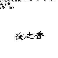 夜之香