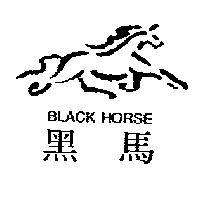 黑馬及圖 BLACK HORSE