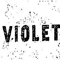 紫羅蘭 VIOLET 