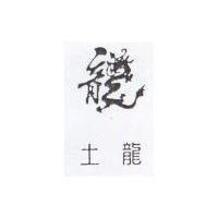 土龍及圖