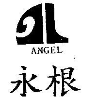 永根及圖 ANGEL