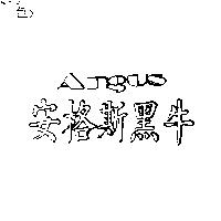 安格斯黑牛 ANGUS