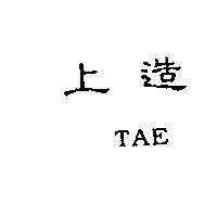 上造 TAE