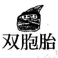 双胞胎及圖