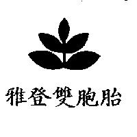 雅登雙胞胎及圖