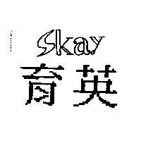 育英及 SKAY 設計圖