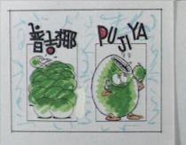 普吉椰 PU JI YA 及圖