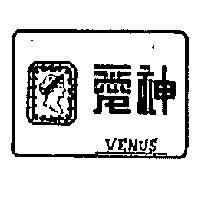 愛神及圖 VENUS 