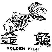 金魚及圖 GOLDEN FISH 